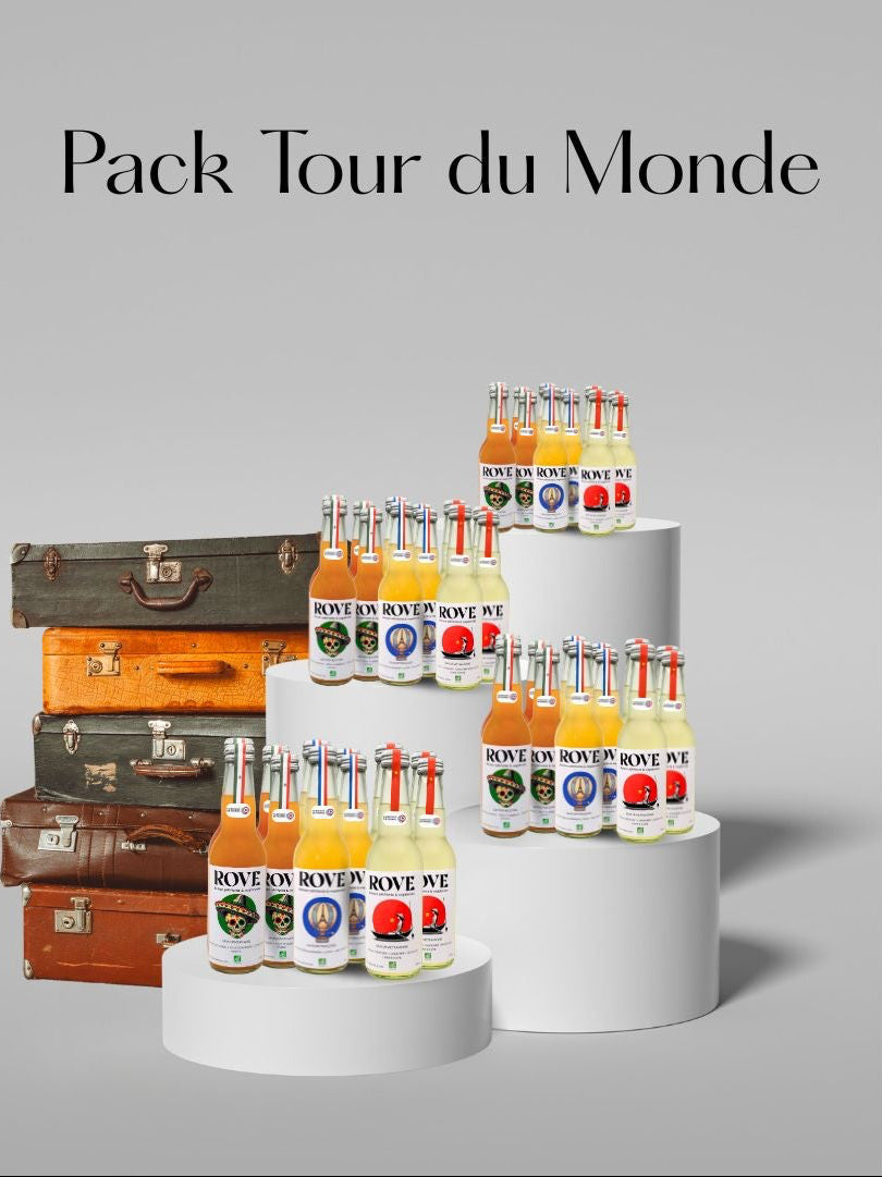 Pack Tour Du Monde ROVE 🌎🚀